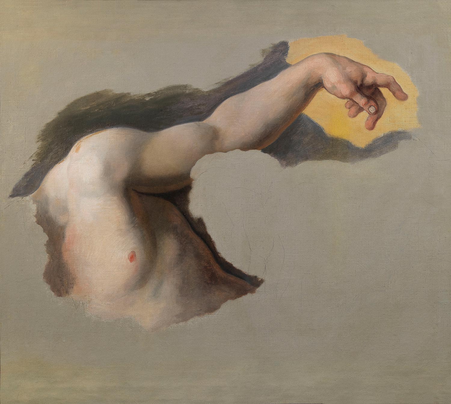 artisti-vincenzo-camuccini-studio-del-torso-galleria-carlo-virgilio