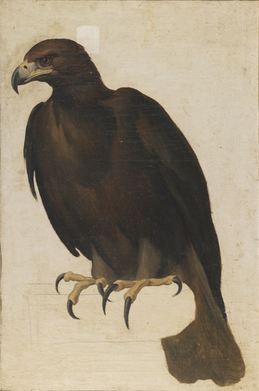 Vincenzo Camuccini - Study of the Eagle for the Hebe