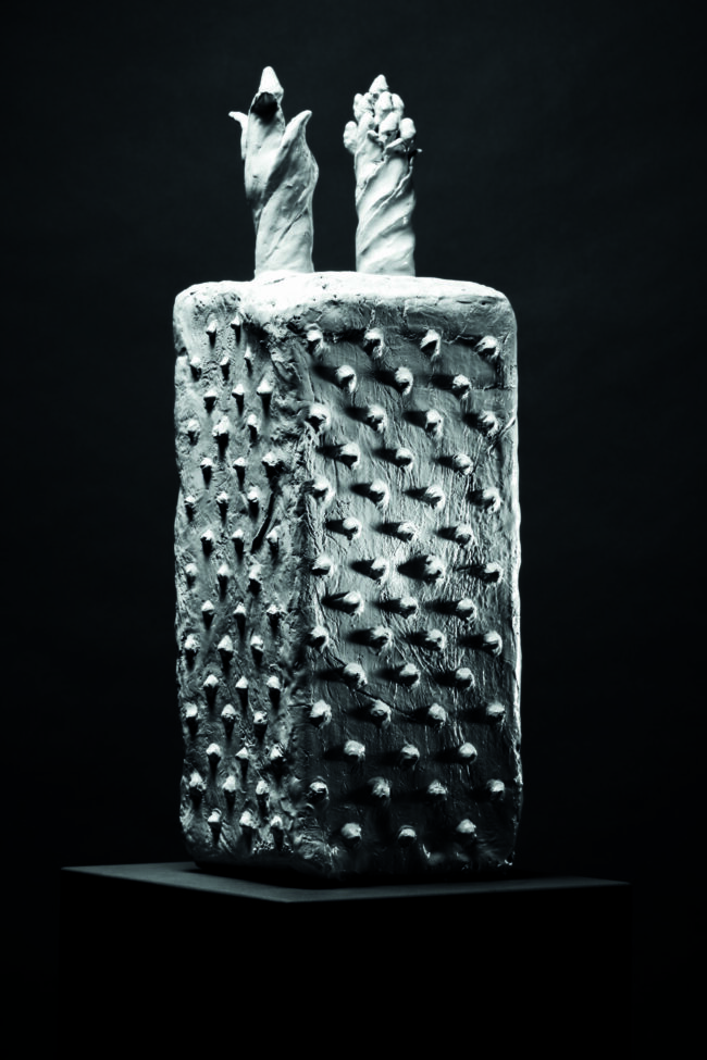 Passi_natural_Galleria_Carlo_Virgilio rappresentare mostra