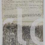 Galliari: giardini reali