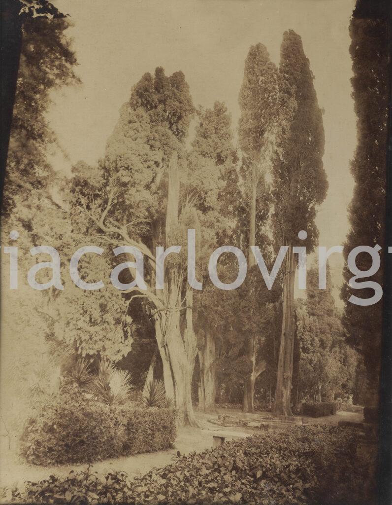 Giacomo Caneva - Garden of Villa d’Este in Tivoli