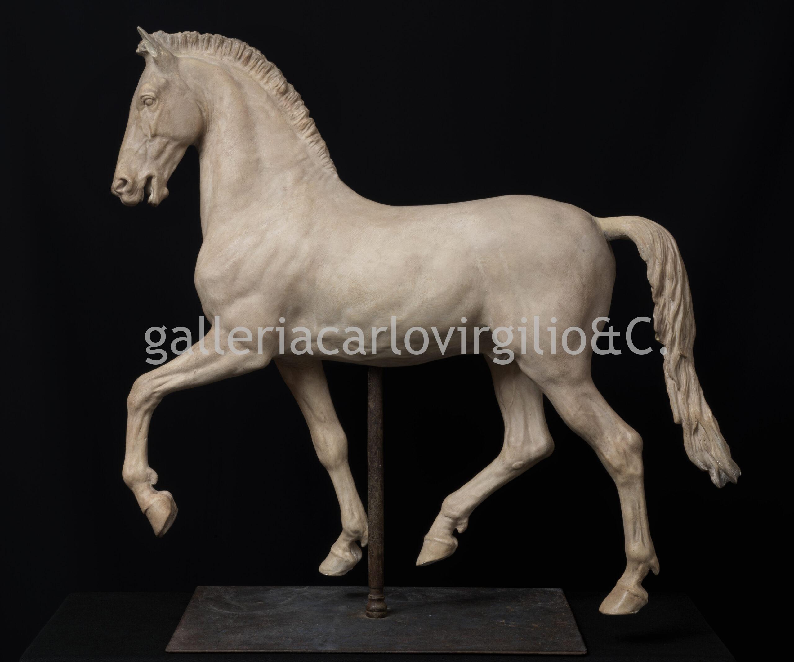 Monti – Cavallo arabo