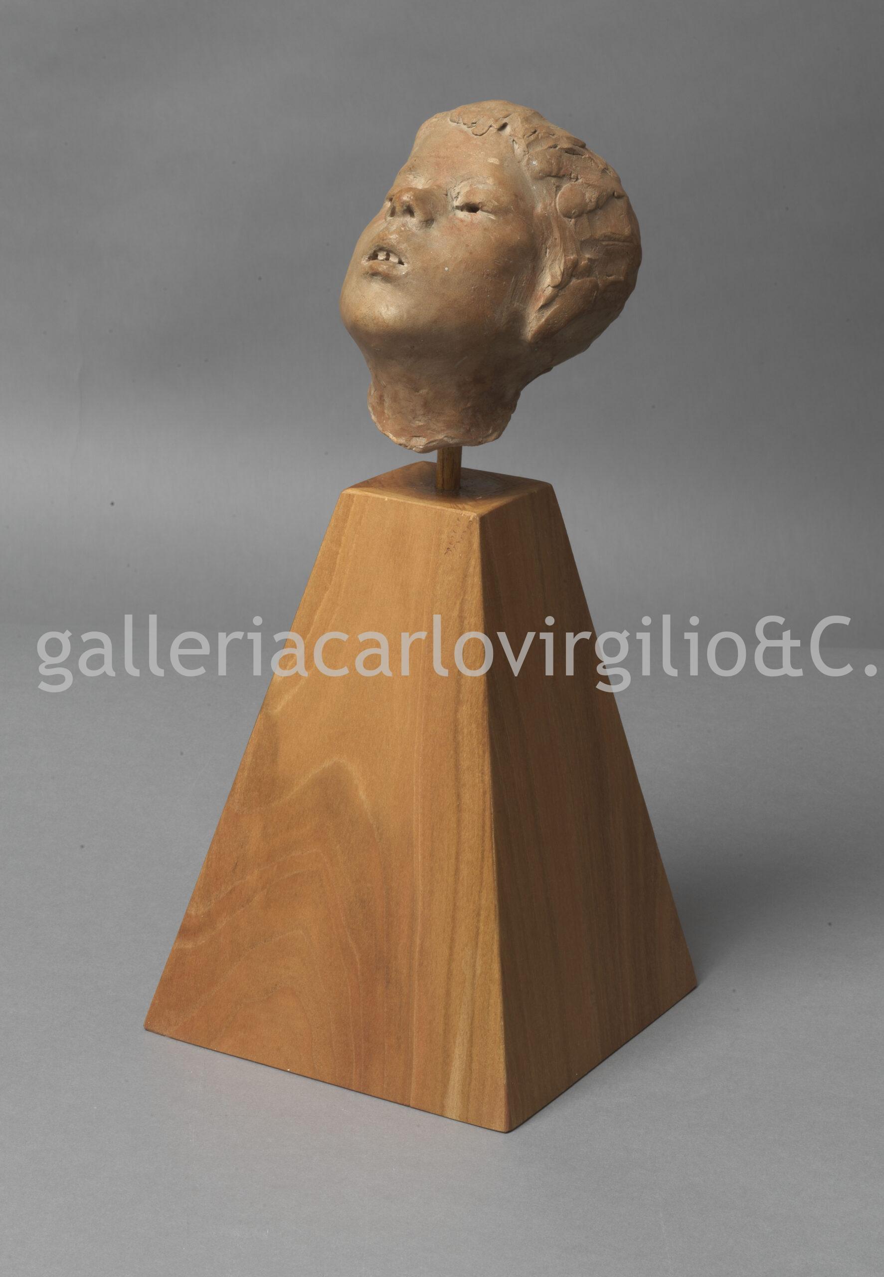 B_38161 jpg