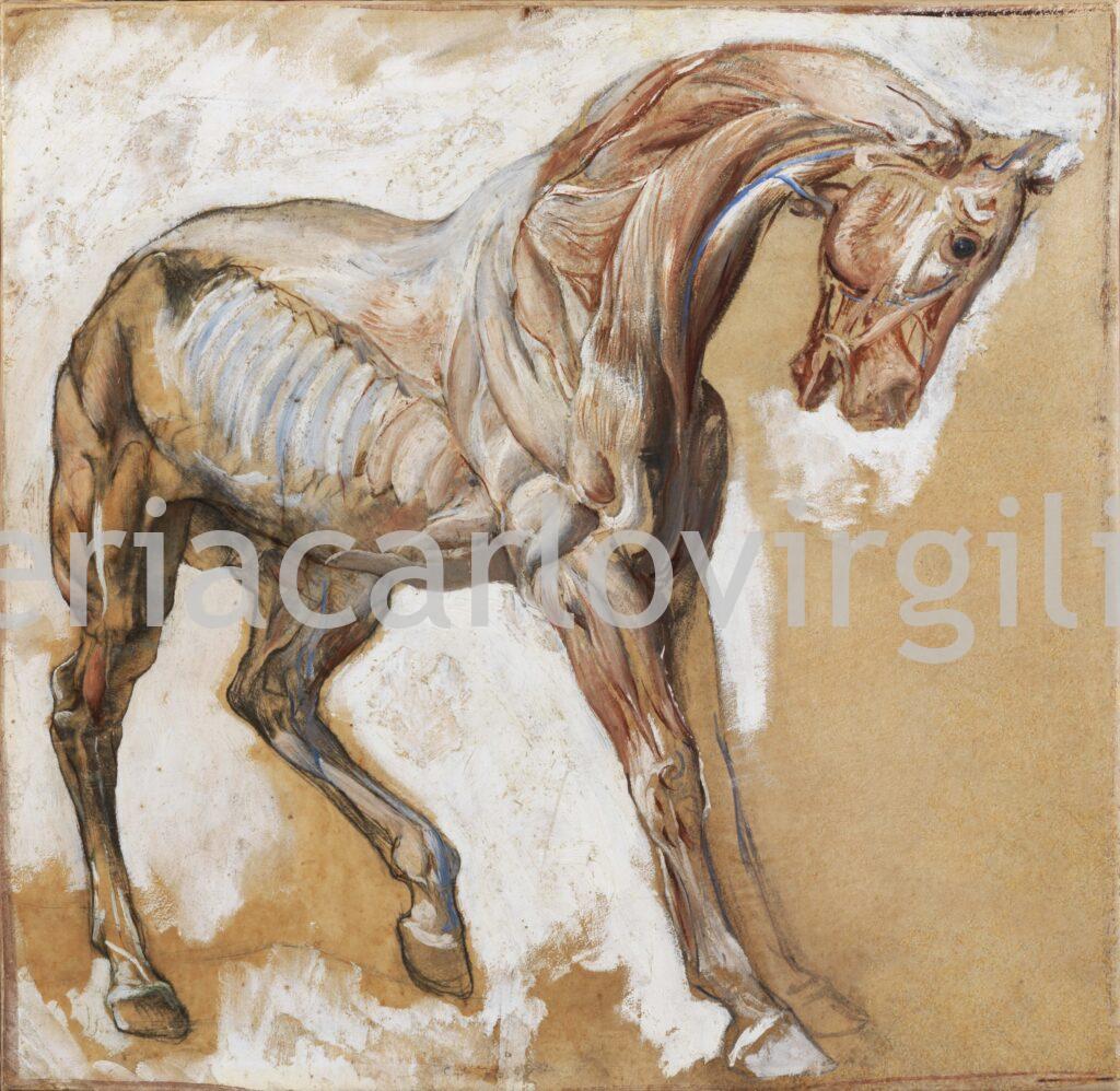 Giulio Aristide Sartorio - Anatomical study of a horse (study for a self-portrait on horseback)